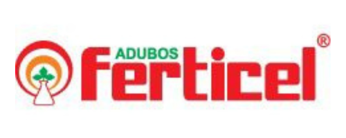 Cliente 4